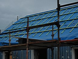 carrowcrory studio-3958.JPG